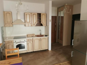 Apartament Sowińskiego